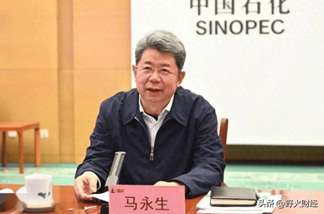 中石化2020年收入_中石化工资总额公布_