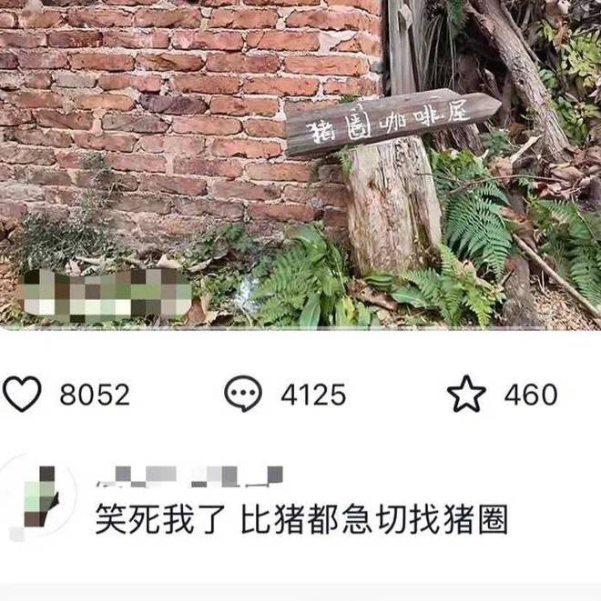 咖咖奥咖啡上海__咖啡大咖幸运咖