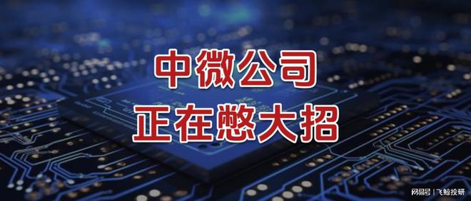 中微公司，正在憋大招！__中微公司，正在憋大招！