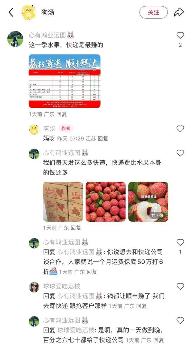 顺丰荔枝收寄范围__顺丰荔枝运费价格表