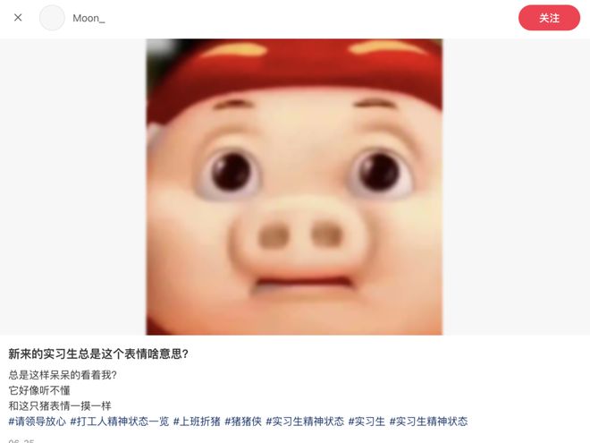 _猪猪侠的表情，成了辱骂Z世代的抓手_猪猪侠的表情，成了辱骂Z世代的抓手