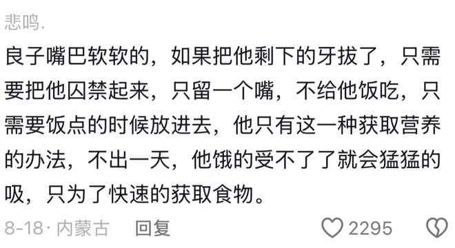 良子的400斤大胃袋，装不下他的七宗罪_良子的400斤大胃袋，装不下他的七宗罪_
