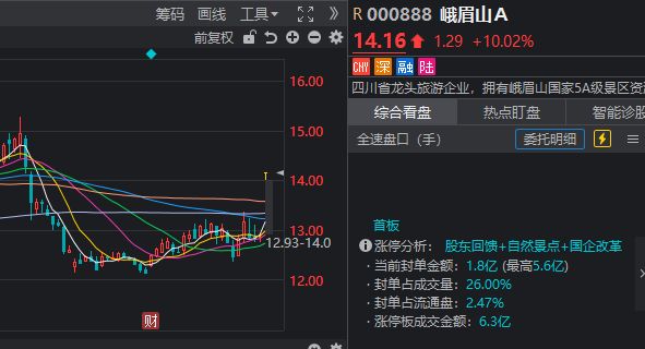 涨停龙头2019_涨停龙头一览_