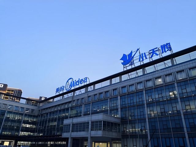 小天鹅严打“小天鸥”！