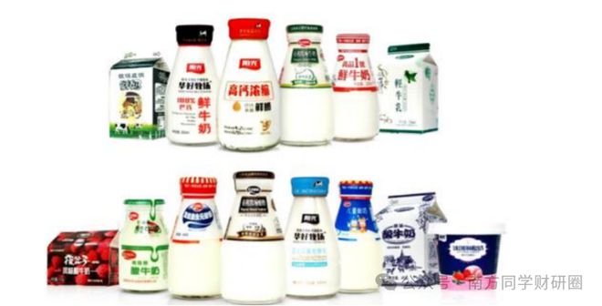 获高盛、大摩买入的乳业 “小而美” ，现金占比 76%，盈利能力吊打伊利！_获高盛、大摩买入的乳业 “小而美” ，现金占比 76%，盈利能力吊打伊利！_