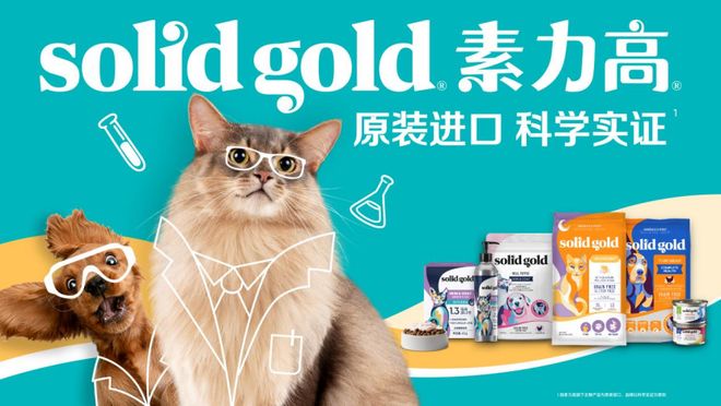 中期业绩发布会__中期业绩是什么