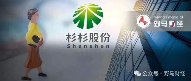 st国恒任元林_杉杉进出口有限公司_