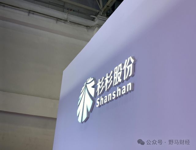 杉杉进出口有限公司__st国恒任元林