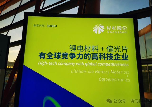 杉杉进出口有限公司__st国恒任元林