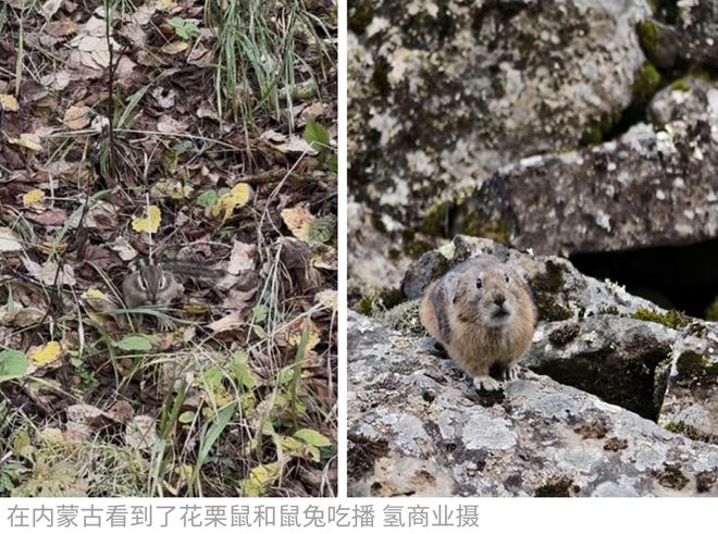 _地铁打架被围观_国庆打架怎么处理