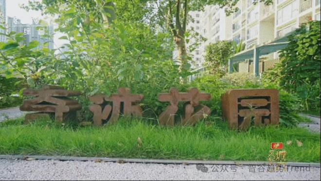 深圳奇迹背后的成功经验_深圳奇迹背后的秘诀_