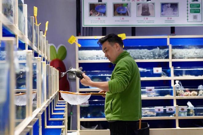 _叮咚买菜农场免费领水果_买菜的app叮咚