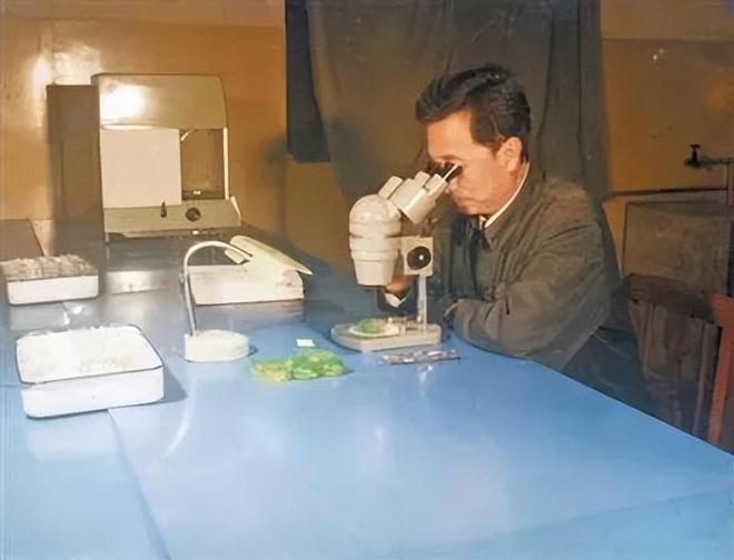 反击美国芯片霸权,河南小县城开出关键一枪!__反击美国芯片霸权,河南小县城开出关键一枪!