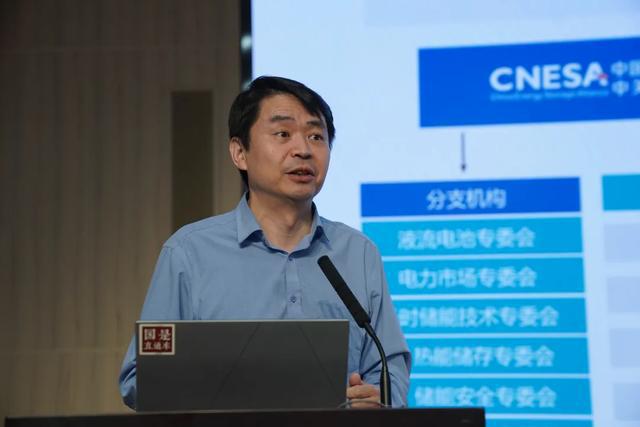 俞振华：我国储能总体将从规模化发展向全面商业化转变