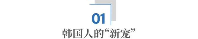 湘南这座偏远大山,为何成了韩国人的“新宠”?__湘南这座偏远大山,为何成了韩国人的“新宠”?