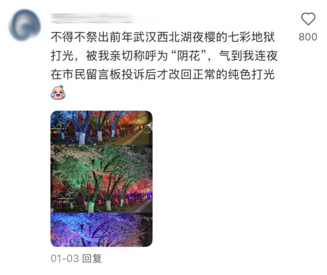 大桥灯光设计_大桥夜色灯光的美有哪些句子_