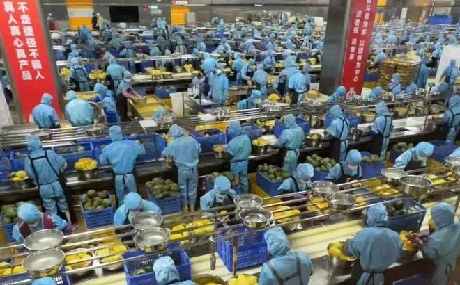 _跨界冰雪王选搭档_跨界冰雪王宣传片