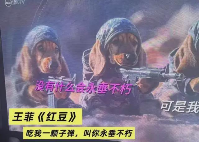 _被年轻人抛弃的KTV，跑去日本捞金了_被年轻人抛弃的KTV，跑去日本捞金了