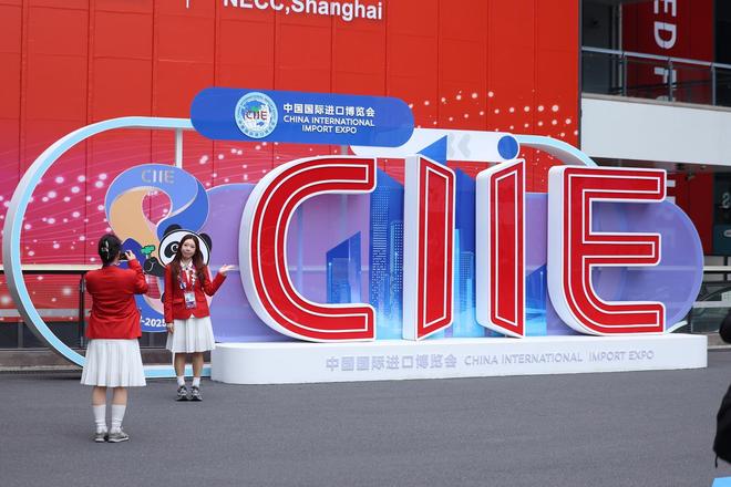 进口促进战略_举办国际进口博览会将促进我国_