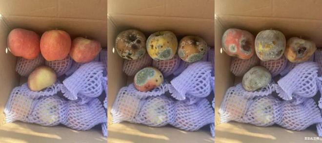 淘宝卖家退款怎么退款__电商退款事件