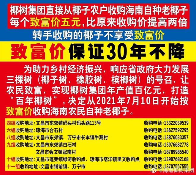 _IF椰子水的护城河是北回归线_IF椰子水的护城河是北回归线