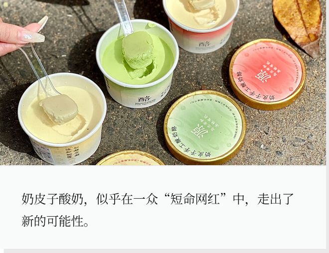 酸奶杯介绍__酸奶杯的做法窍门