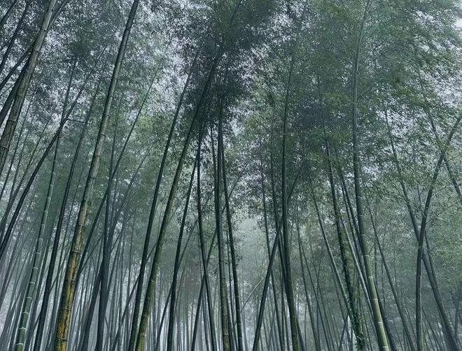 快手邪典视频屡禁不止 三道防线现重大漏洞