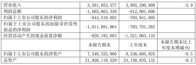 _净亏超10亿！江西前首富，冲刺港股IPO“破局”_净亏超10亿！江西前首富，冲刺港股IPO“破局”