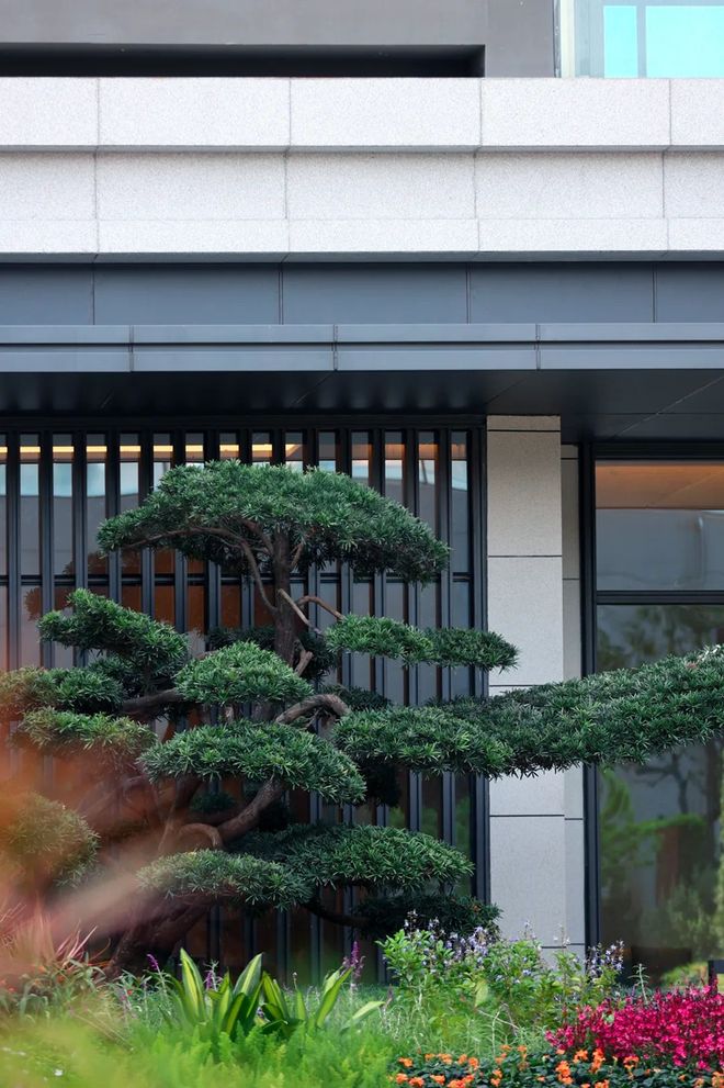 深圳限行一年两次机会__市场机会与企业机会