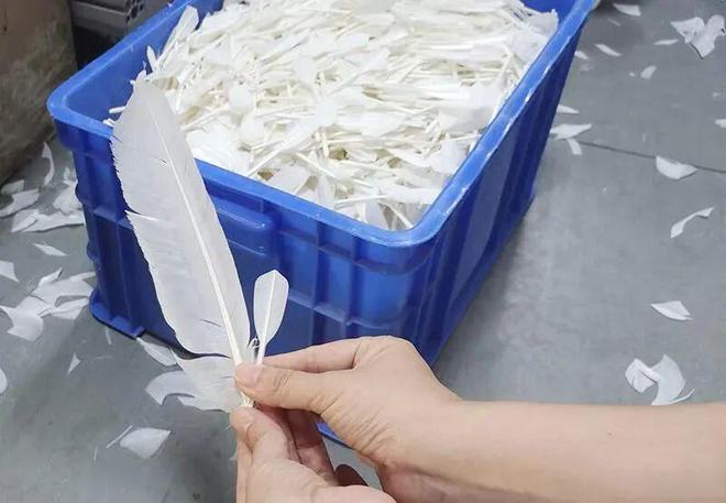 羽毛球价格疯涨，安徽小城的百亿生意藏不住了__羽毛球价格疯涨，安徽小城的百亿生意藏不住了