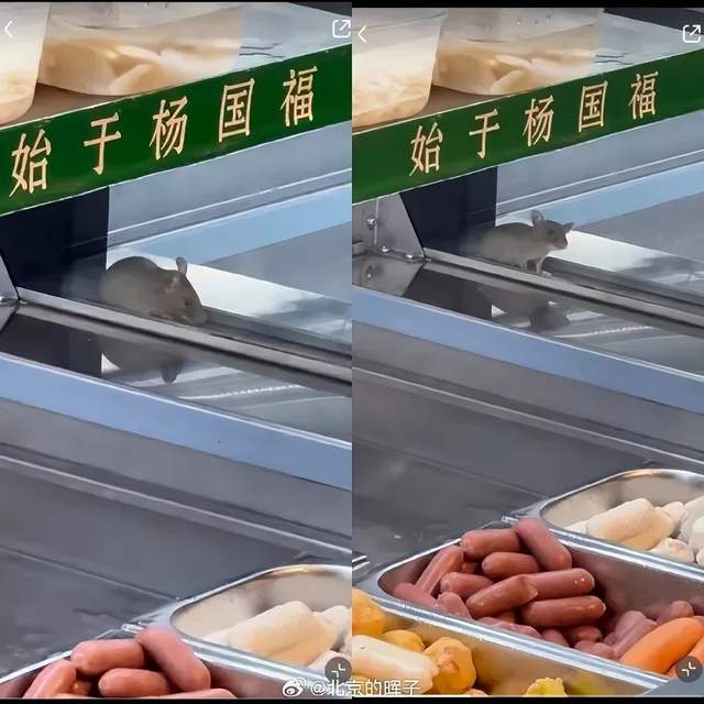 1斤豆芽卖28元,是谁给了杨国福勇气?__1斤豆芽卖28元,是谁给了杨国福勇气?