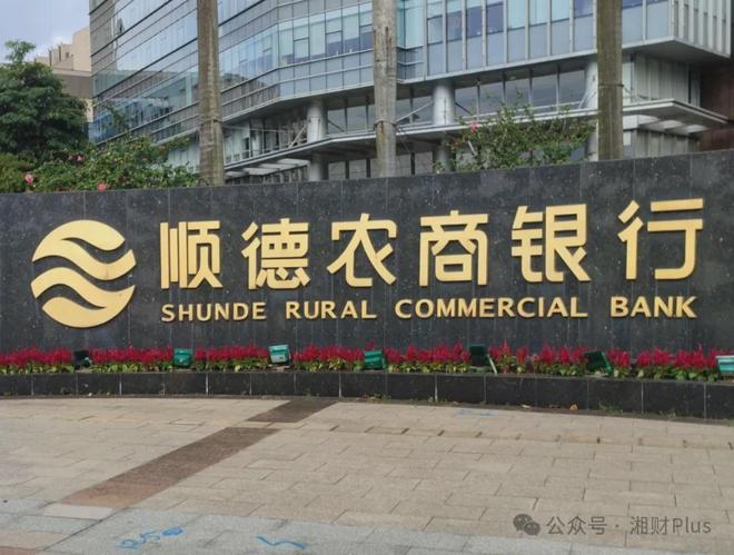 广东顺德两大集团联姻_投资顺德_