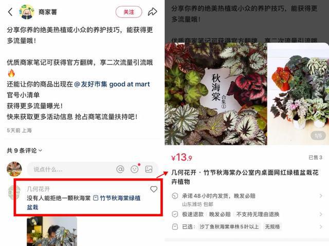 猛踩“融入社区”油门，小红书电商正在构建一张更紧密的网__猛踩“融入社区”油门，小红书电商正在构建一张更紧密的网