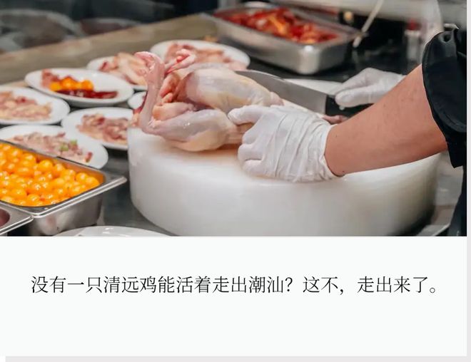 披上“鲜切”马甲，潮汕鸡煲翻红了