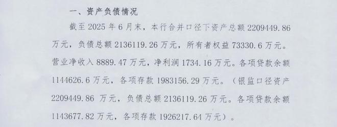 农商行入股_农商银行股金前景_