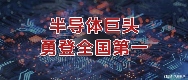 _半导体巨头实力排名_半导体巨头195人