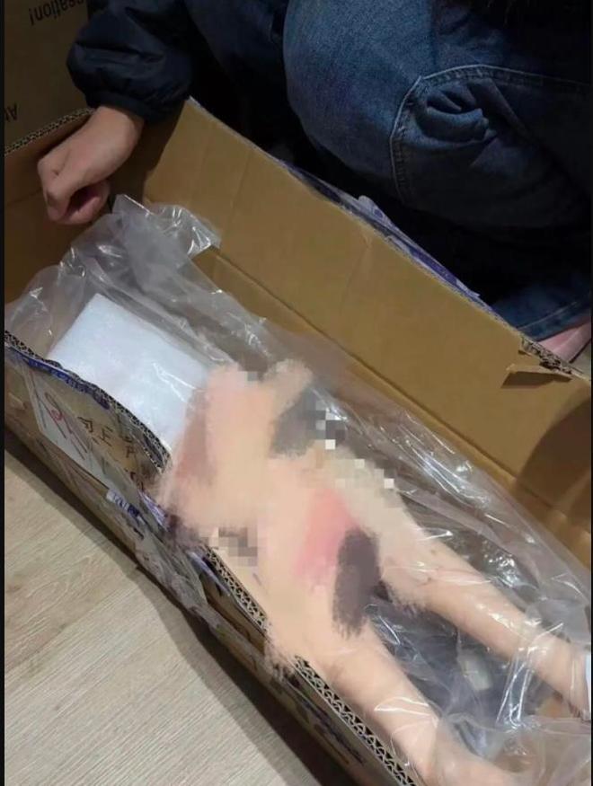 “幼女版”硅胶娃娃公然出售冲击人伦底线