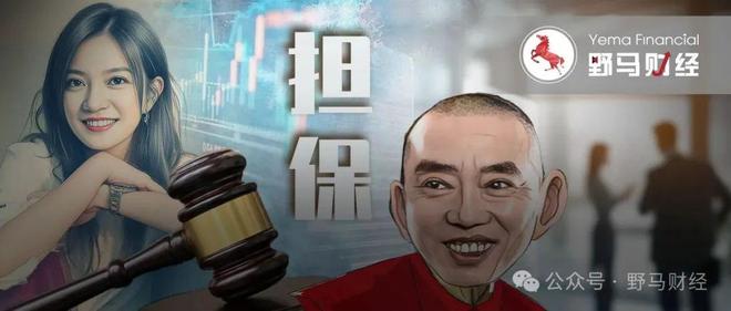 普思股权遭冻结__股权担保属于什么担保