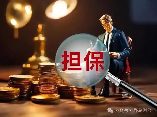 普思股权遭冻结_股权担保属于什么担保_