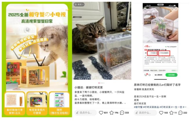 _叮咚买菜限时抢购几点_叮咚买菜的免费菜几点更新