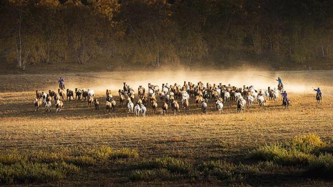 _生肖派对彩蛋_生肖派对解说