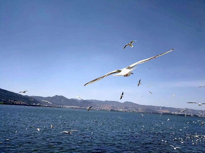 远海投资有限公司_远海基金公司_