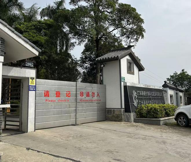 _确定定增价后股价暴涨_猴繁殖繁殖