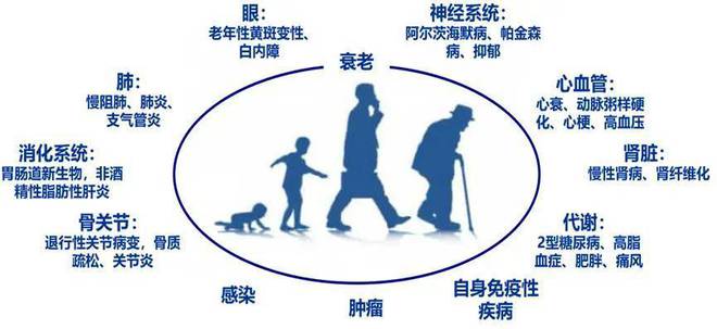 抗衰的误区_抗衰问题汇总_