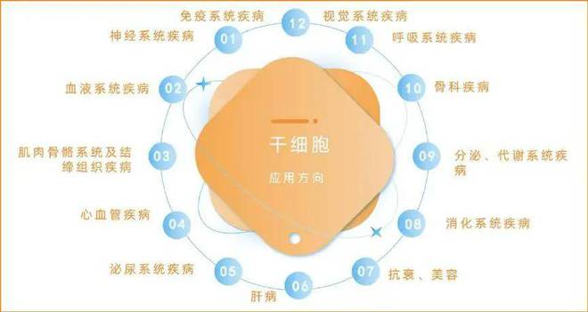 抗衰问题汇总__抗衰的误区