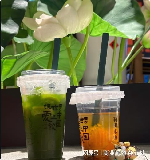美人如饮下载__美久广场舞绿旋风