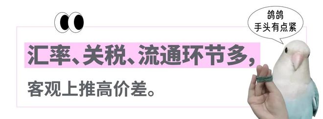 欧洲代购怎么做起来_欧洲代购价格怎么差那么多_