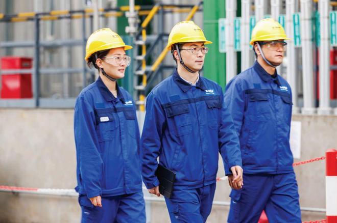 2019年扬子巴斯夫招聘__巴斯夫有多厉害