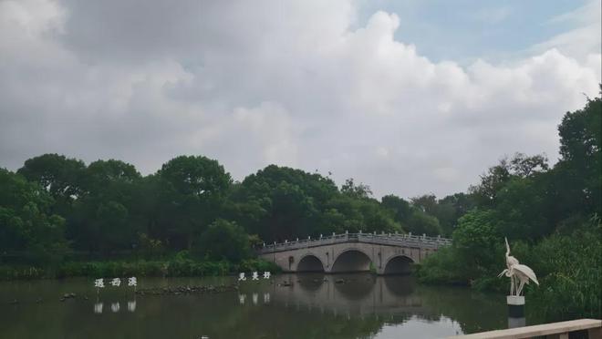 硅谷鲸吞好莱坞：奈飞的720亿美元豪赌