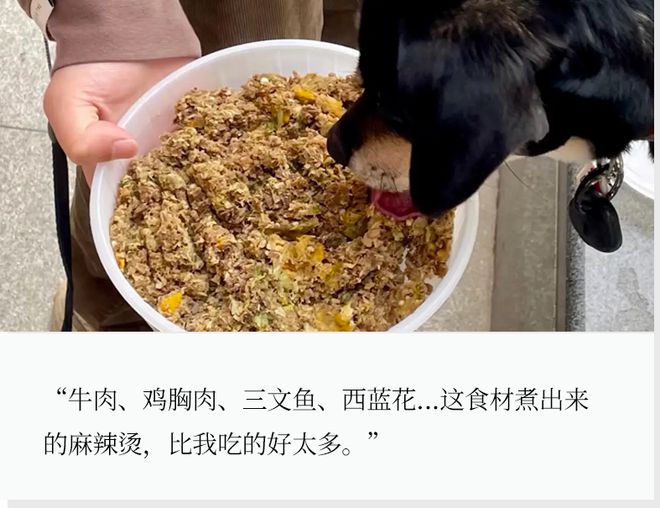 25元/斤的“狗狗麻辣烫”火了，网友“嗯，真香”！